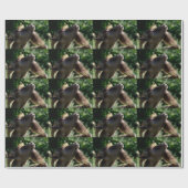 Papier Cadeau Funny Billy Portrait de chèvre (Plat)