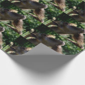 Papier Cadeau Funny Billy Portrait de chèvre (Coin)