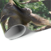 Papier Cadeau Funny Billy Portrait de chèvre (Coin rond)