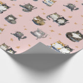 Papier Cadeau Funny Cats parmi les étoiles sur chat rose (Coin)