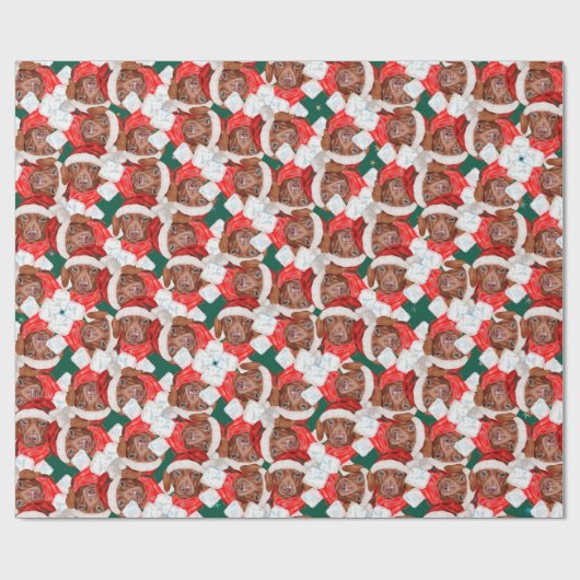 Papier Cadeau Funny Chocolat Dachshund Motif de Noël (Plat)