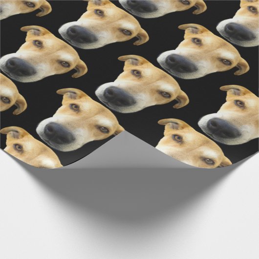 Papier Cadeau Funny Custom Chien Photo Motif Anniversaire (Coin)