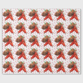 Papier Cadeau Funny Père Noël (Plat)