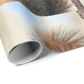 Papier Cadeau Furball d'aujourd'hui (Coin rond)