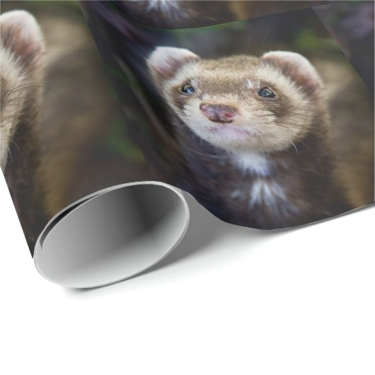 Papier Cadeau Furet (Coin rond)