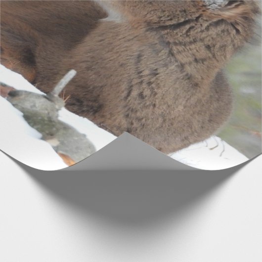 Papier Cadeau Fuzzy White Quail Cerf Fawn (Coin)