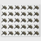 Papier Cadeau Galapagos land tortoise illustration  (Plat)