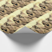 PAPIER CADEAU GARGOYLE (Coin)