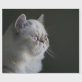 PAPIER CADEAU GAZE BLEUE (Plat)