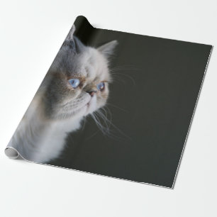 PAPIER CADEAU GAZE BLEUE