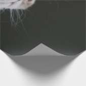 PAPIER CADEAU GAZE BLEUE (Coin)