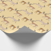 Papier Cadeau Gazelles (Coin)