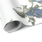 Papier Cadeau Geai bleu par Audubon (Coin rond)