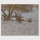 PAPIER CADEAU GEESE DU CANADA (Plat)