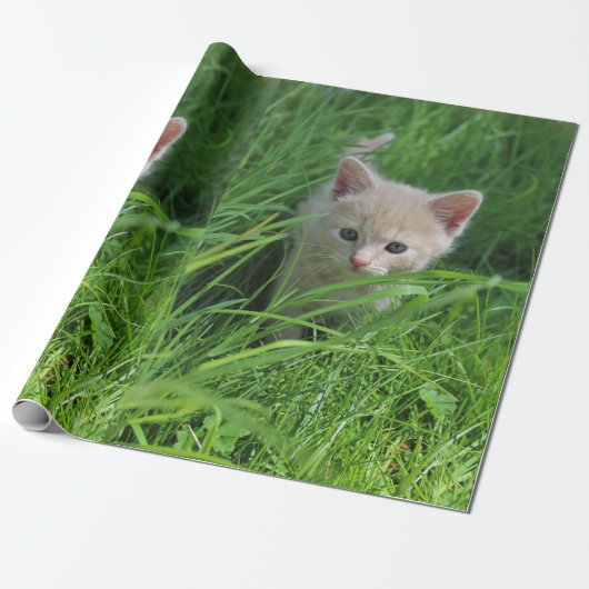 Papier Cadeau Gentillesse (Déroulé)
