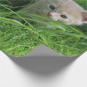 Papier Cadeau Gentillesse (Coin)