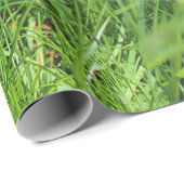 Papier Cadeau Gentillesse (Coin rond)