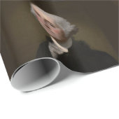 Papier Cadeau George Washington (Coin rond)