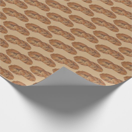 Papier Cadeau Gingersnap Gingersnap Biscuit Ginger Nut cookies (Coin)