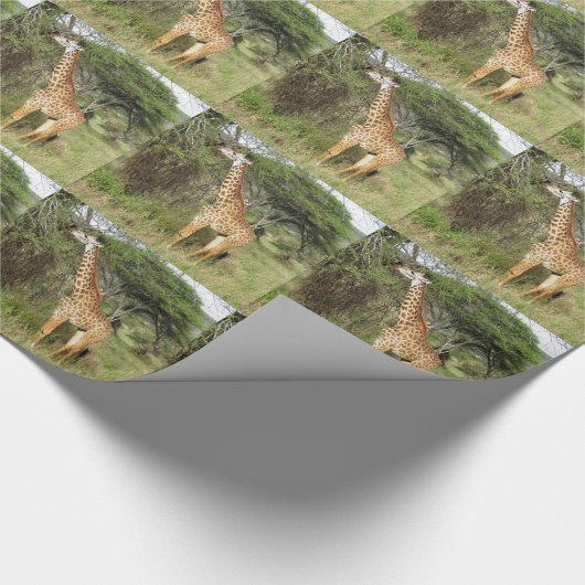 Papier Cadeau girafe (Coin)