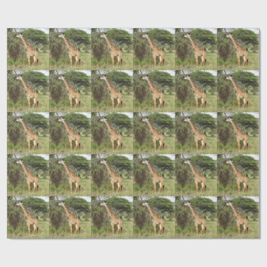Papier Cadeau girafe (Plat)