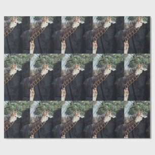 Papier Cadeau Girafe