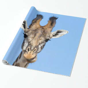 Papier Cadeau Giraffe