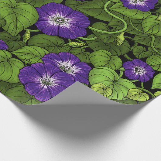 Papier Cadeau Gloire du matin en violet et vert (Coin)