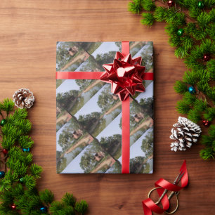 Papier Cadeau Goa Inde