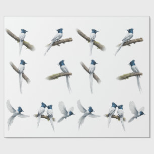 Papier Cadeau Gobe-mouche Paradis Asiatique Ensemble d'Oiseaux à