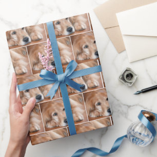 Papier Cadeau Golden Retriever