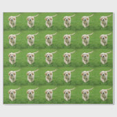 Papier Cadeau Golden retriever (Plat)