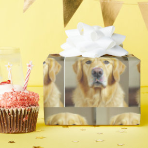 Papier Cadeau Golden Retriever Avec Des Saupouilles Sur Son Nez