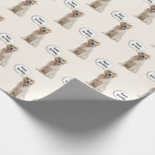 Papier Cadeau Golden Retriever avec lunettes de vue (Coin)