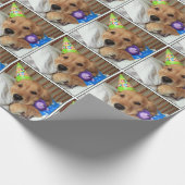 Papier Cadeau Golden retriever dans l'anniversaire de pyjamas (Coin)
