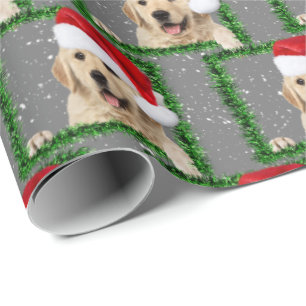 Papier Cadeau Golden Retriever dans un cadre vert