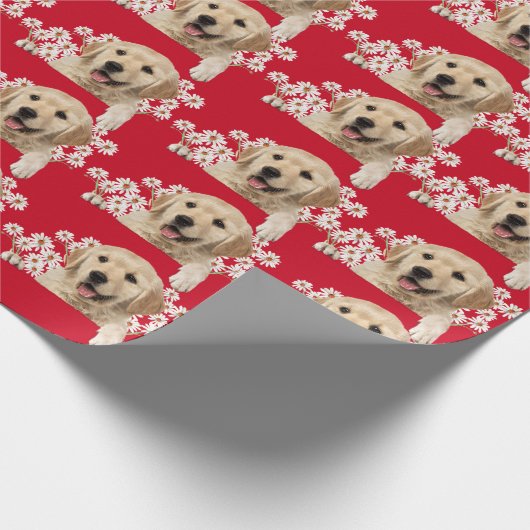 Papier Cadeau Golden Retriever en marguerite rouge (Coin)
