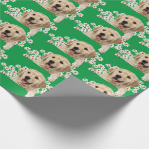 Papier Cadeau Golden Retriever en marguerite sur vert