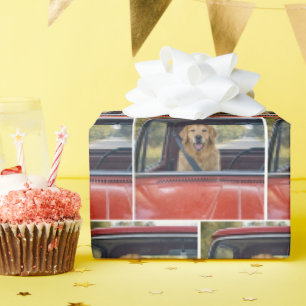 Papier Cadeau Golden Retriever portant une ceinture de sécurité