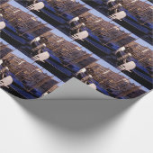 Papier Cadeau Gondoles (Coin)
