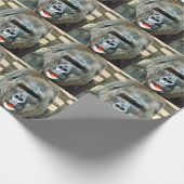 PAPIER CADEAU GORILLA FRAÎCHE (Coin)
