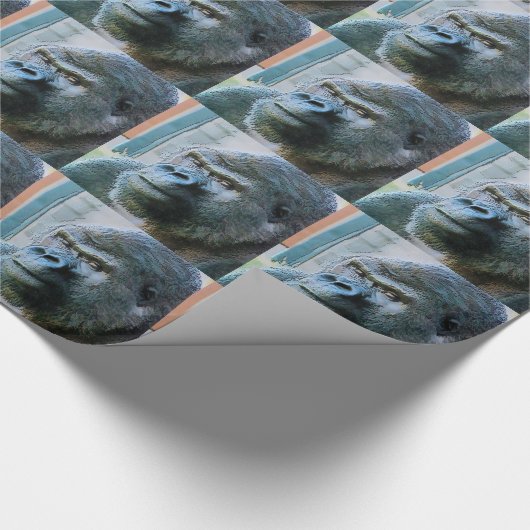 PAPIER CADEAU GORILLAS (Coin)