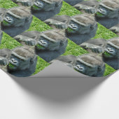 PAPIER CADEAU GORILLAS (Coin)