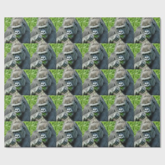 PAPIER CADEAU GORILLAS (Plat)