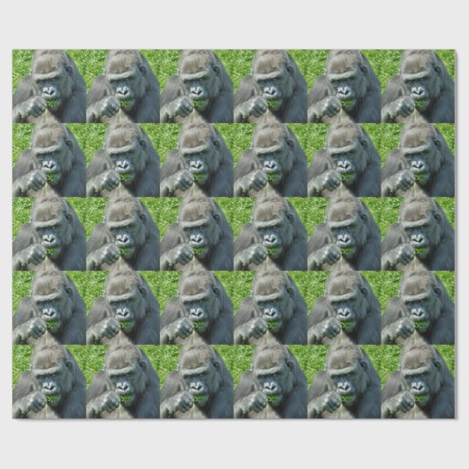 PAPIER CADEAU GORILLAS (Plat)