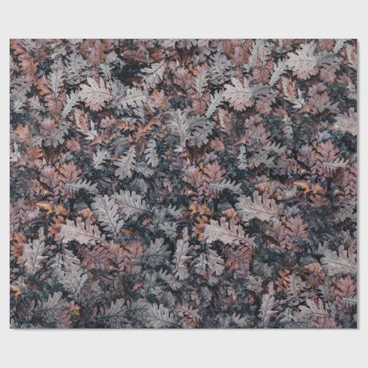 Papier Cadeau Gothique Déplaisant Cosy Automne Nuit Feuilles Aut (Plat)