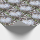 Papier Cadeau Graines et soie d'algues (Coin)