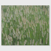 Papier Cadeau Graines vertes (Plat)