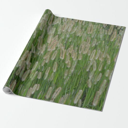 Papier Cadeau Graines vertes (Déroulé)