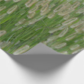 Papier Cadeau Graines vertes (Coin)